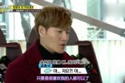 娱乐吃瓜姐白鹿,娱乐圈的甜蜜瓜果，揭秘明星背后的故事